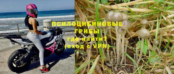 мяу мяу кристалл Аркадак