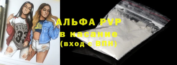 гашик Алексин