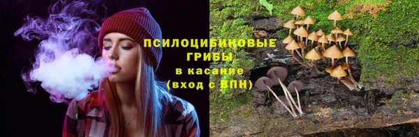 прущая мука Армянск