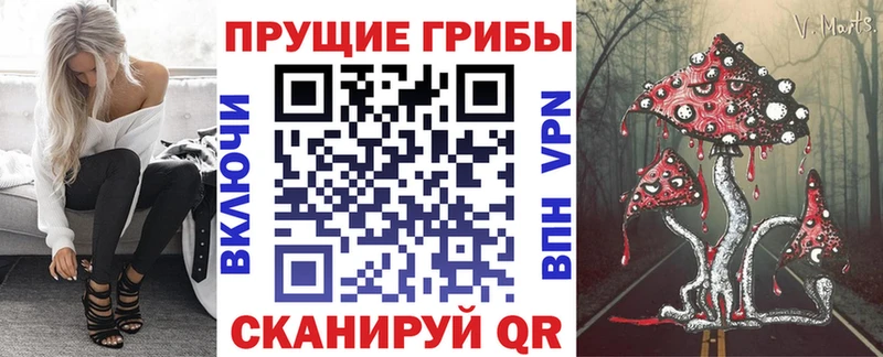 Псилоцибиновые грибы Psilocybine cubensis  Таруса 